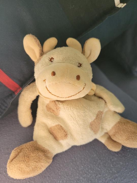 Ricardo Sainz de la Fuente