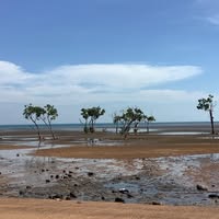 Elizabeth Weatherstone