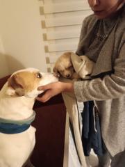 Carla Tapia Norambuena