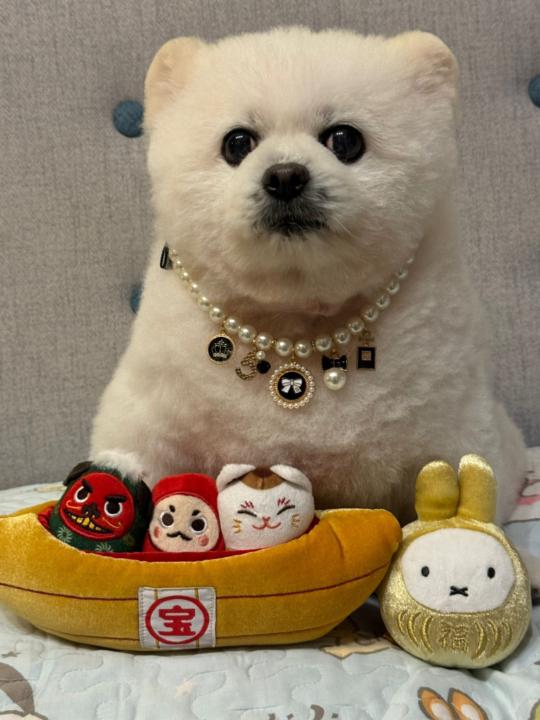 M Hong