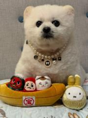 M Hong