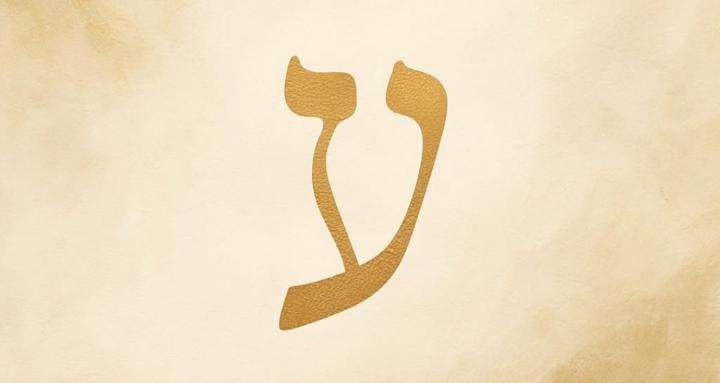 Your Original Design