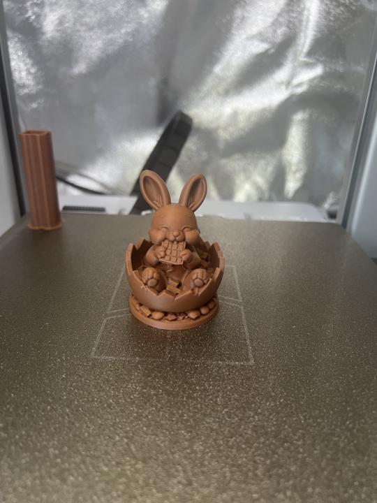 Chocolate bunny 