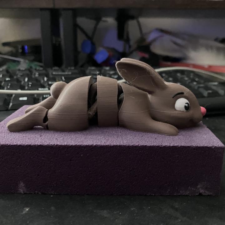 My chocolate bunny flexi toy. 