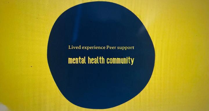Lived experience Peer Support