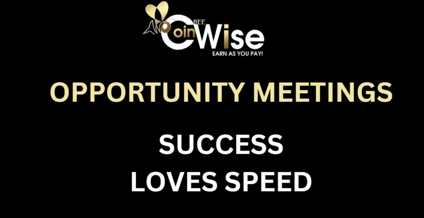 BeeCoin Wise