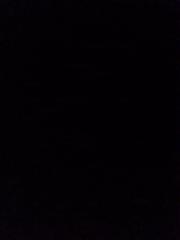 Zamuial Johnson-McCully