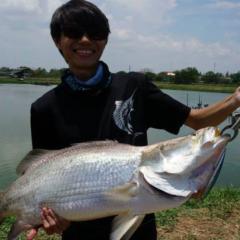 Dennis Lee