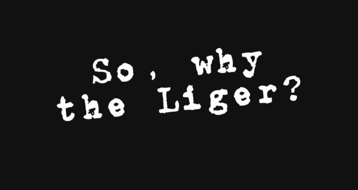 Liger Martial Arts