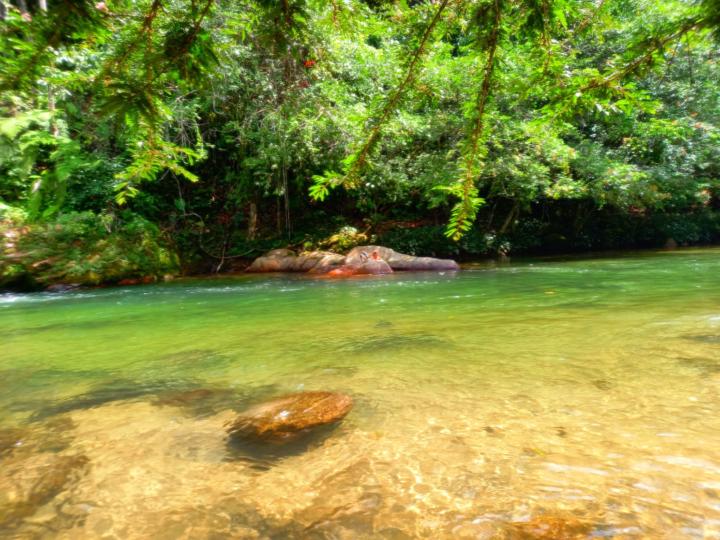 Yendy katherinne Cantillo lugo