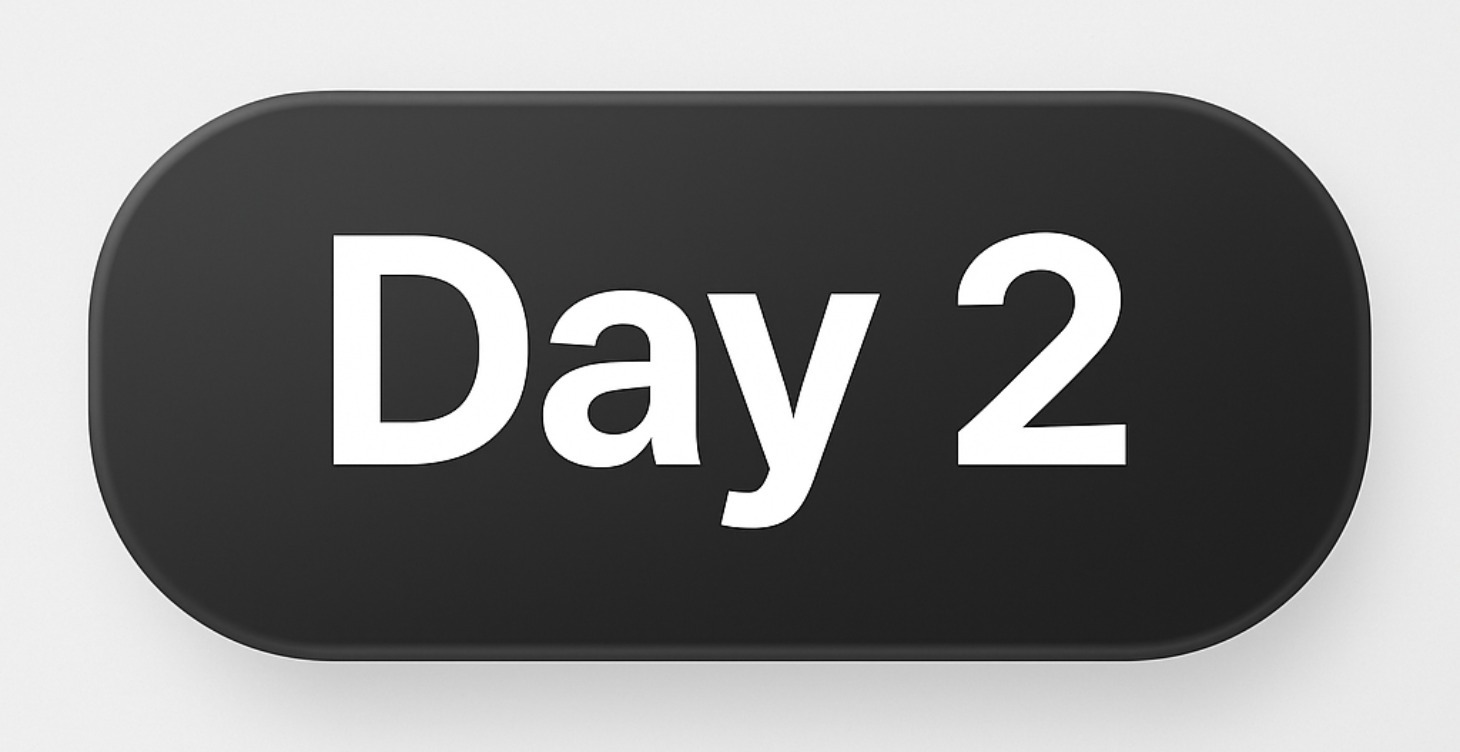 Day 2: Learn N8N