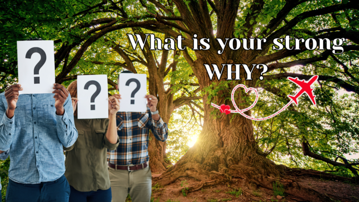 🎉 BIG NEWS — A New Class Has Just Landed! 🎉