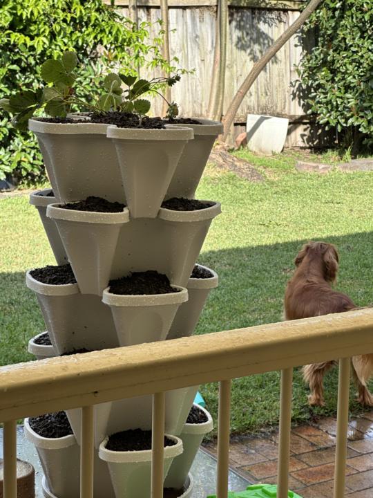 Time in the Garden - Passion Projects!!