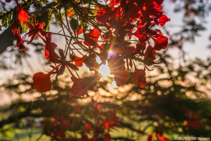 Lets share some recent photos