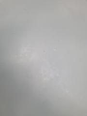 Anushan Satkunaseelan