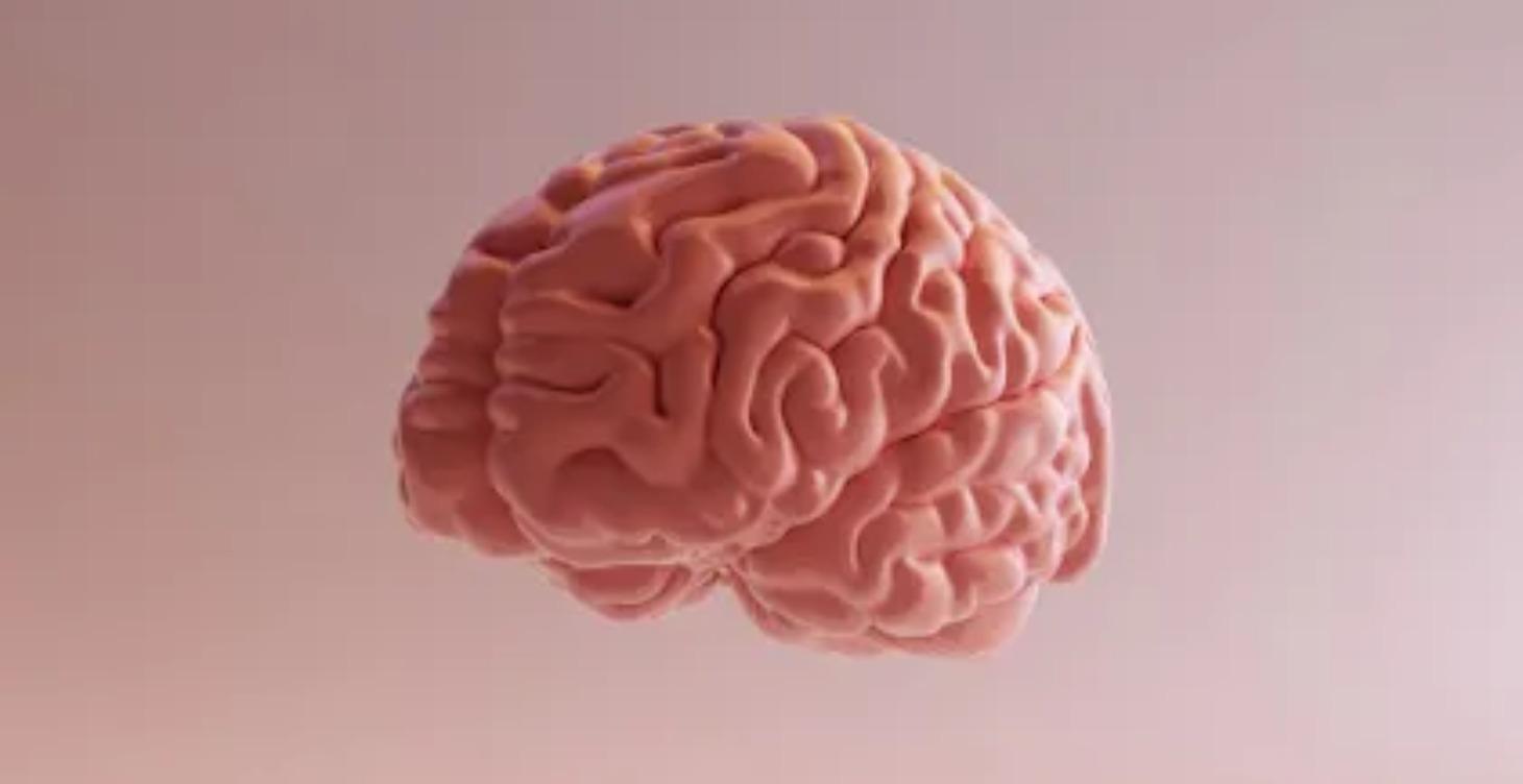 Why Smart People Get Stuck: