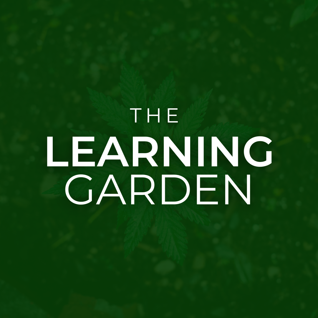 The Learning Garden