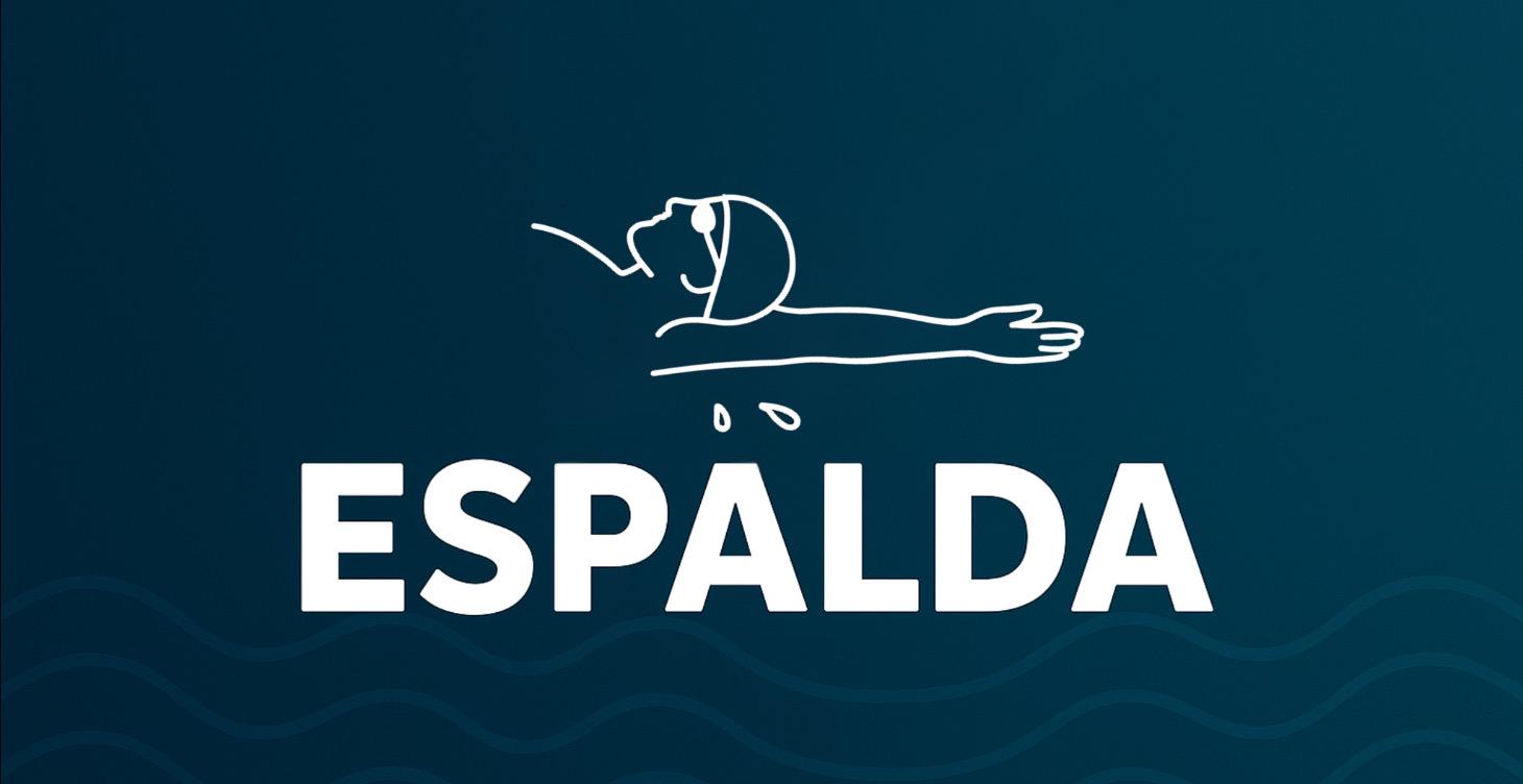 Técnica del estilo Espalda