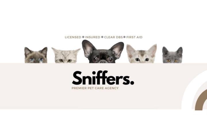 🐾 A look inside our Dog Daycare 🐾