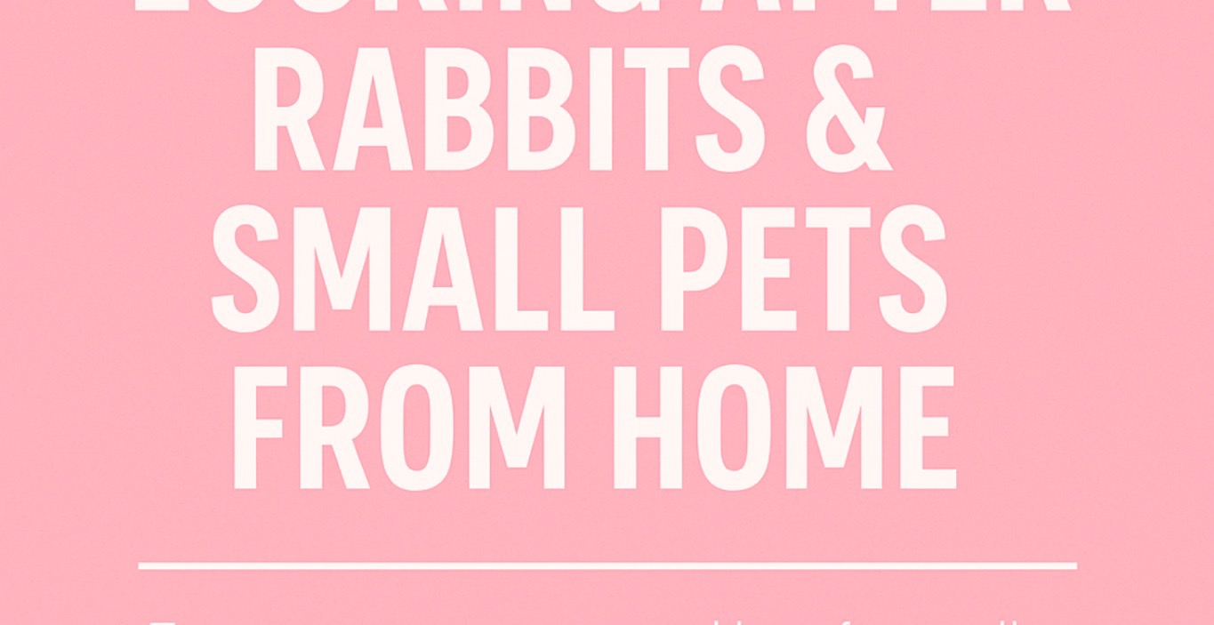 How to Make Money Looking After Rabbits From Home