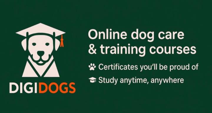 DigiDogs