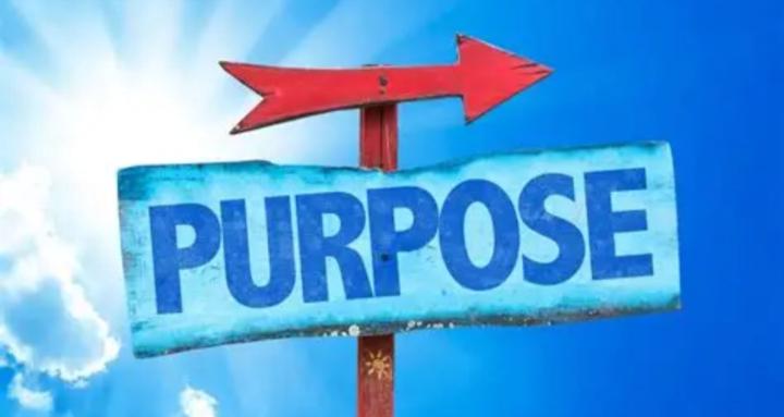 Discover Your Purpose!