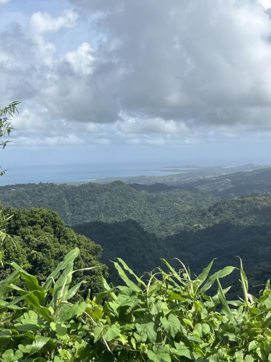 🌴I’M BACK & BURSTING WITH VISION🌴