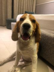 Riya P