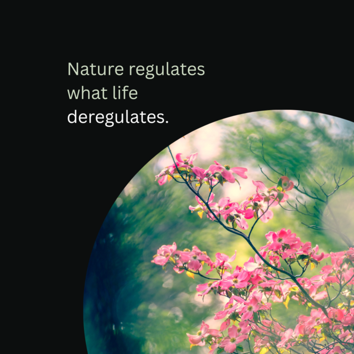 Best tool for nervous system regulation?