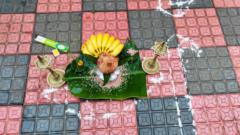 Tom Sathananthan
