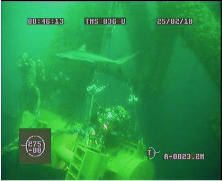 Interview with a scuba mag