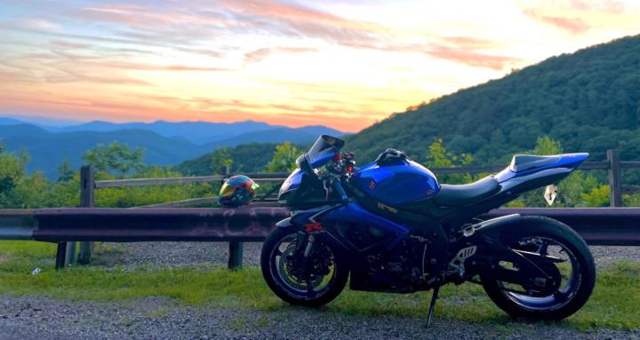 Lifestyle: Wild - Brave & Free