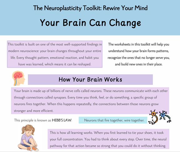 New in the Classroom: The Neuroplasticity Workbook — Rewire Your Mind 