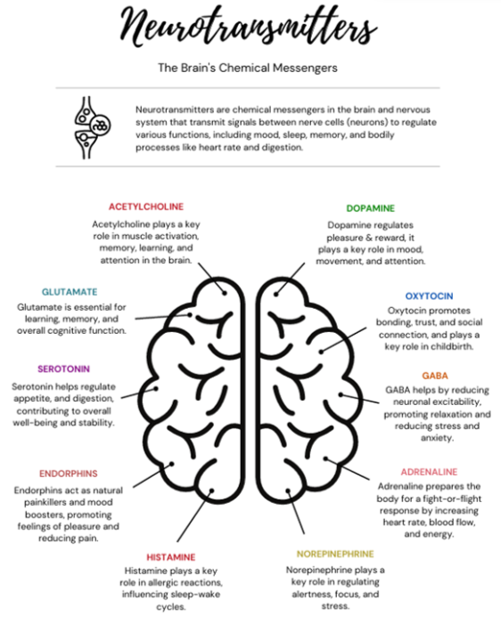 New Resource Added: Inner Chemistry — Understanding How the Brain Shapes Behaviour