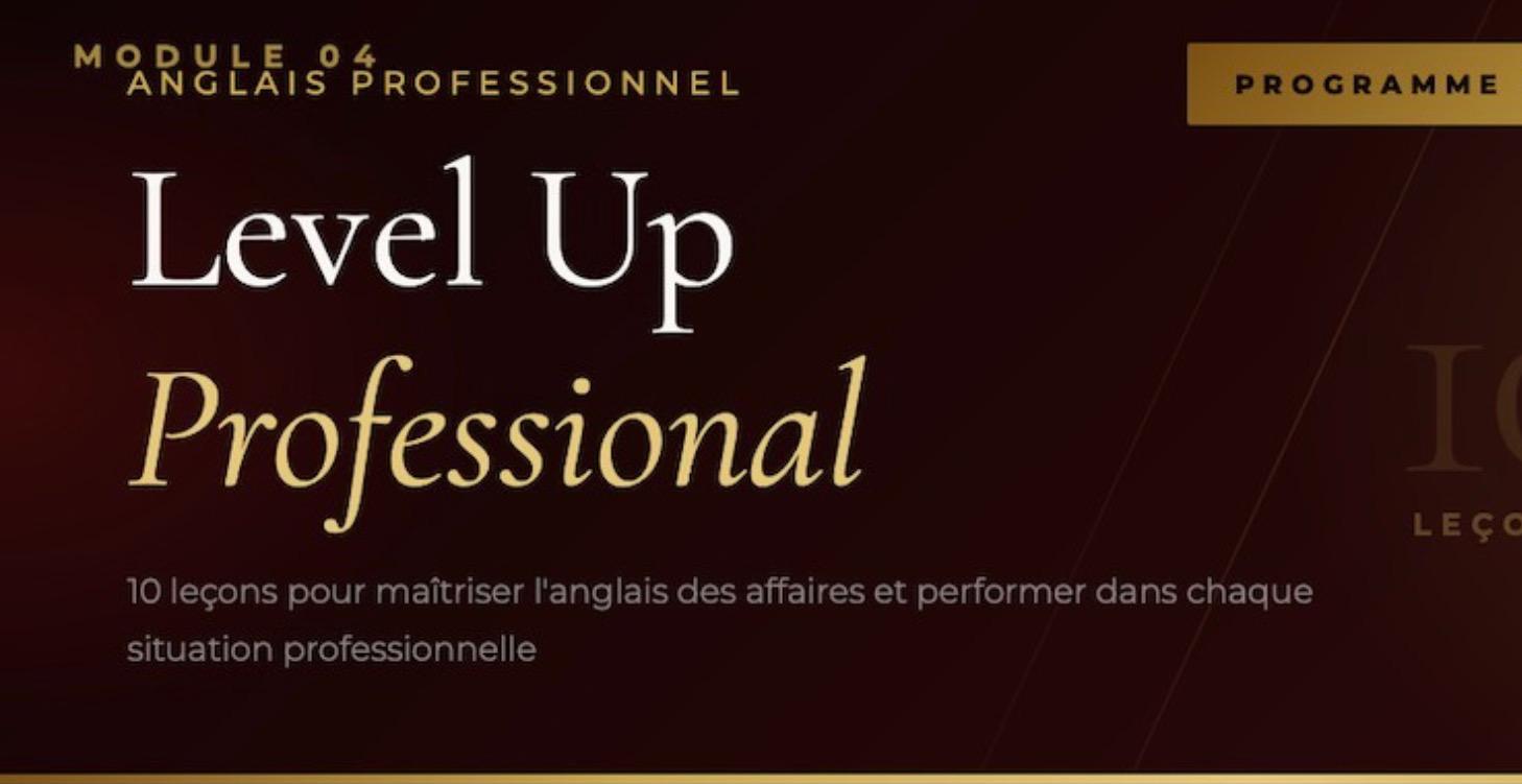 LEVEL UP Professional