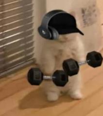 JeffCat Wanabe adonis
