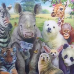 Juan Martín Mosqueda