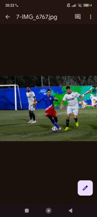 Felipe Bertoldi