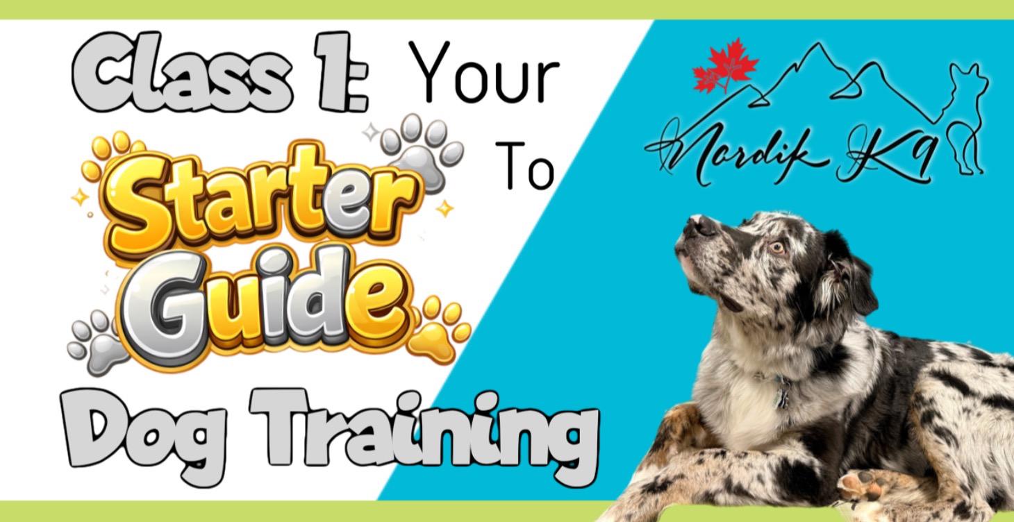 CLASS 1: YOUR STARTER GUIDE TO DOG TRAINING