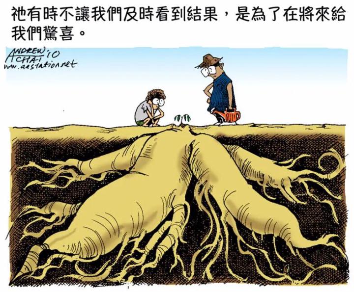 你不是没有成长，而是在扎根