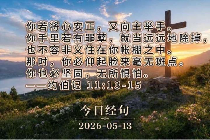                    每日金句