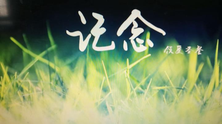 你的话信实