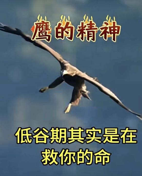 脱旧换新 