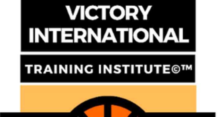 V.I.I.T.A.L Training