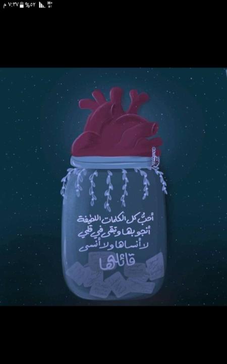 Noha Hamza