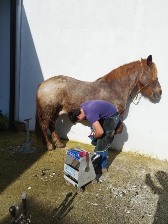 José luis Díaz baena
