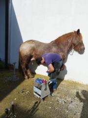 José luis Díaz baena