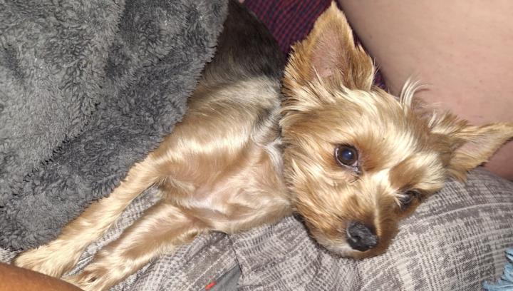 Rennett Vorstman Shop