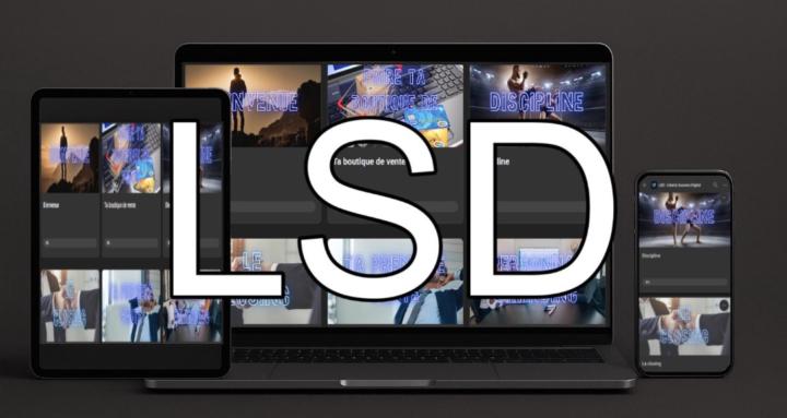 LSD : Liberty Success Digital