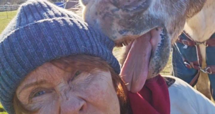 Heart Coherence with Animals